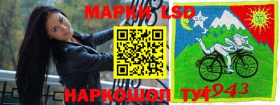 МДПВ Канаш