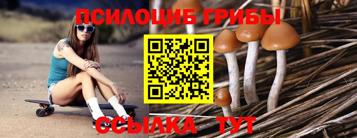 Галлюциногенные грибы мицелий Краснознаменск
